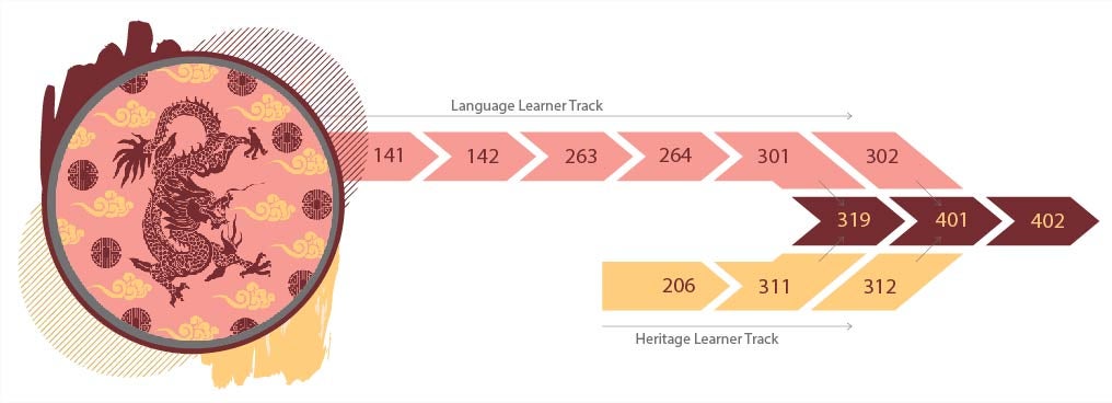 Decorative infographic showing the sequence of Chinese courses. Language learners start with CHIN 141 to 142 to 263 to 264 to 301. After 301 they may take either 302 or 319 before taking 401 to 402. Heritage learners start with CHIN 206 and progress to 311. After 311 they may take either 312 or 319 before taking 401 and 402.