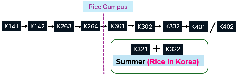 Korean course sequence