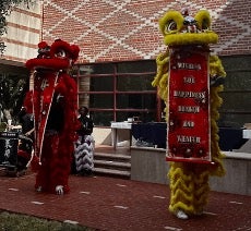 Lion Dance performance