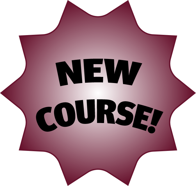 New Course starburst sticker