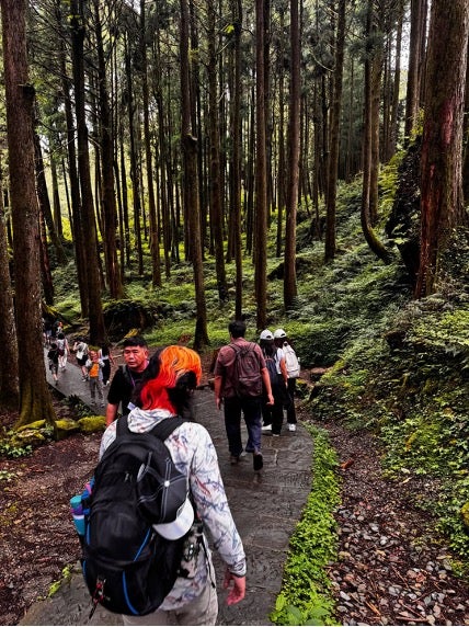 Students walking through a forest